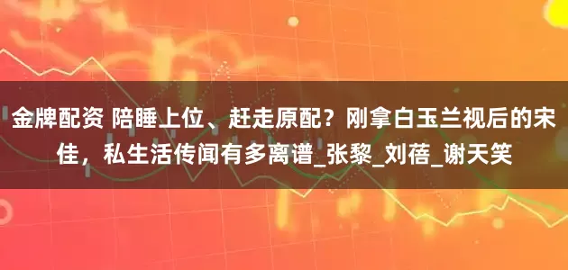 金牌配资 陪睡上位、赶走原配？刚拿白玉兰视后的宋佳，私生活传闻有多离谱_张黎_刘蓓_谢天笑