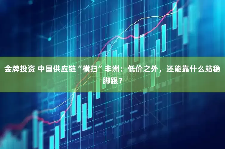 金牌投资 中国供应链“横扫”非洲：低价之外，还能靠什么站稳脚跟？