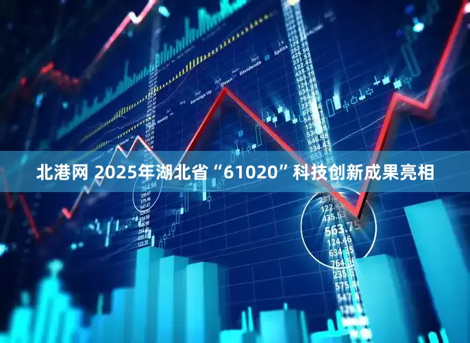 北港网 2025年湖北省“61020”科技创新成果亮相