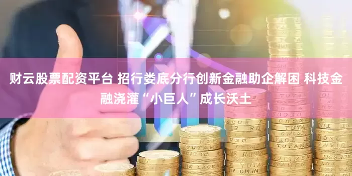 财云股票配资平台 招行娄底分行创新金融助企解困 科技金融浇灌“小巨人”成长沃土